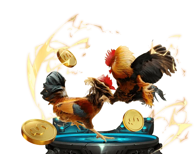 Các tính năng bảo mật của okchoi với mã hóa và tường lửa